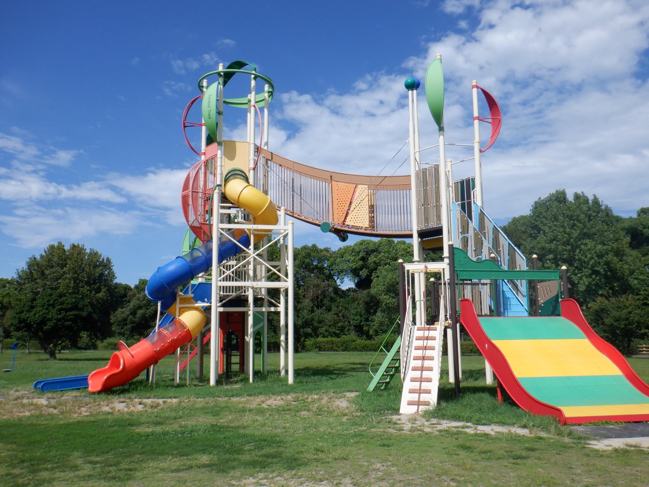 写真:6歳以上の児童向けの大きな複合遊具