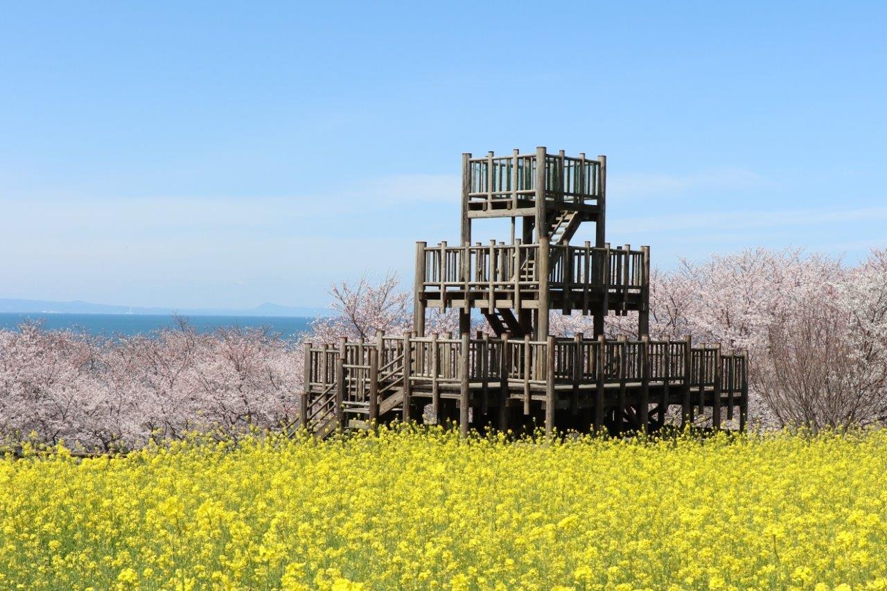 写真:木製の展望台