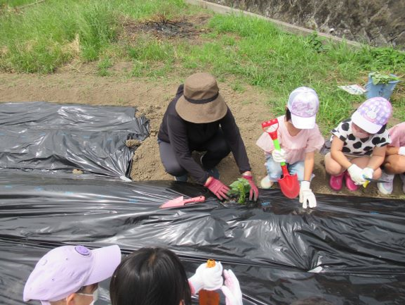 写真：子育てひろばや季節ごとの行事を毎月行います。