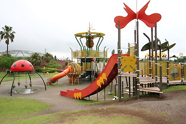 遊びの森の大型遊具画像