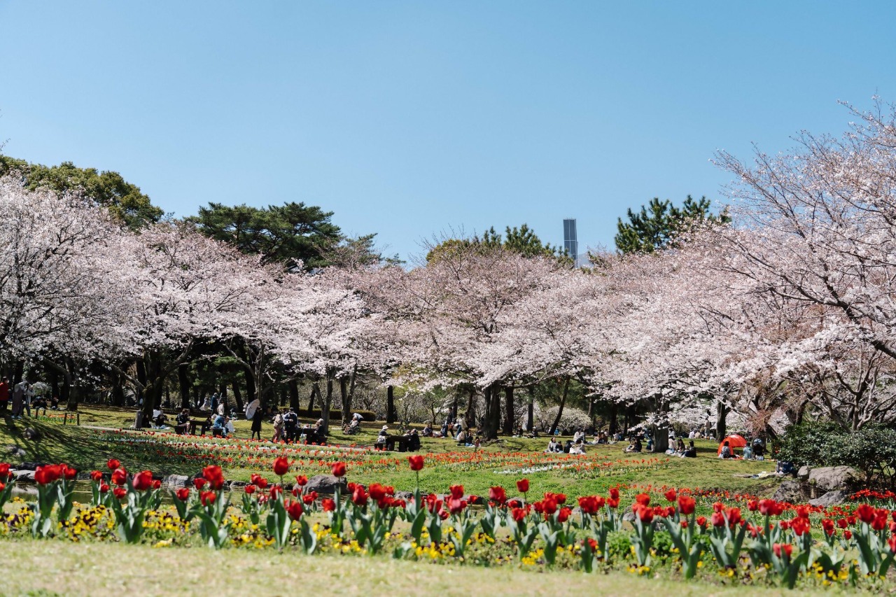 松林や芝生、季節ごとの花々が咲く憩いの公園