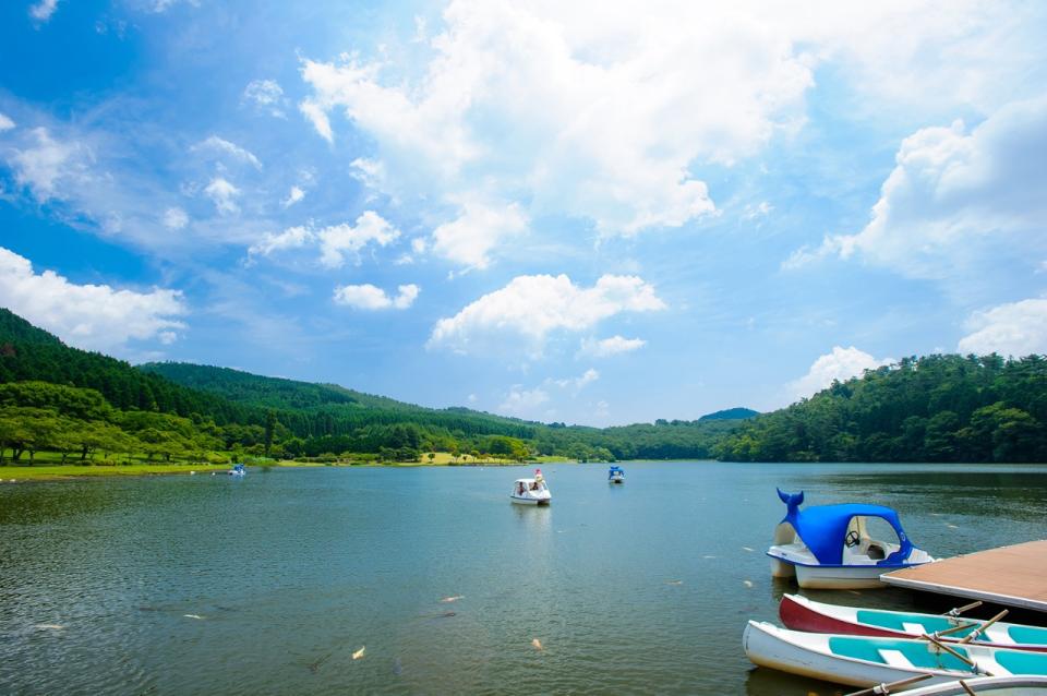 志高湖の画像